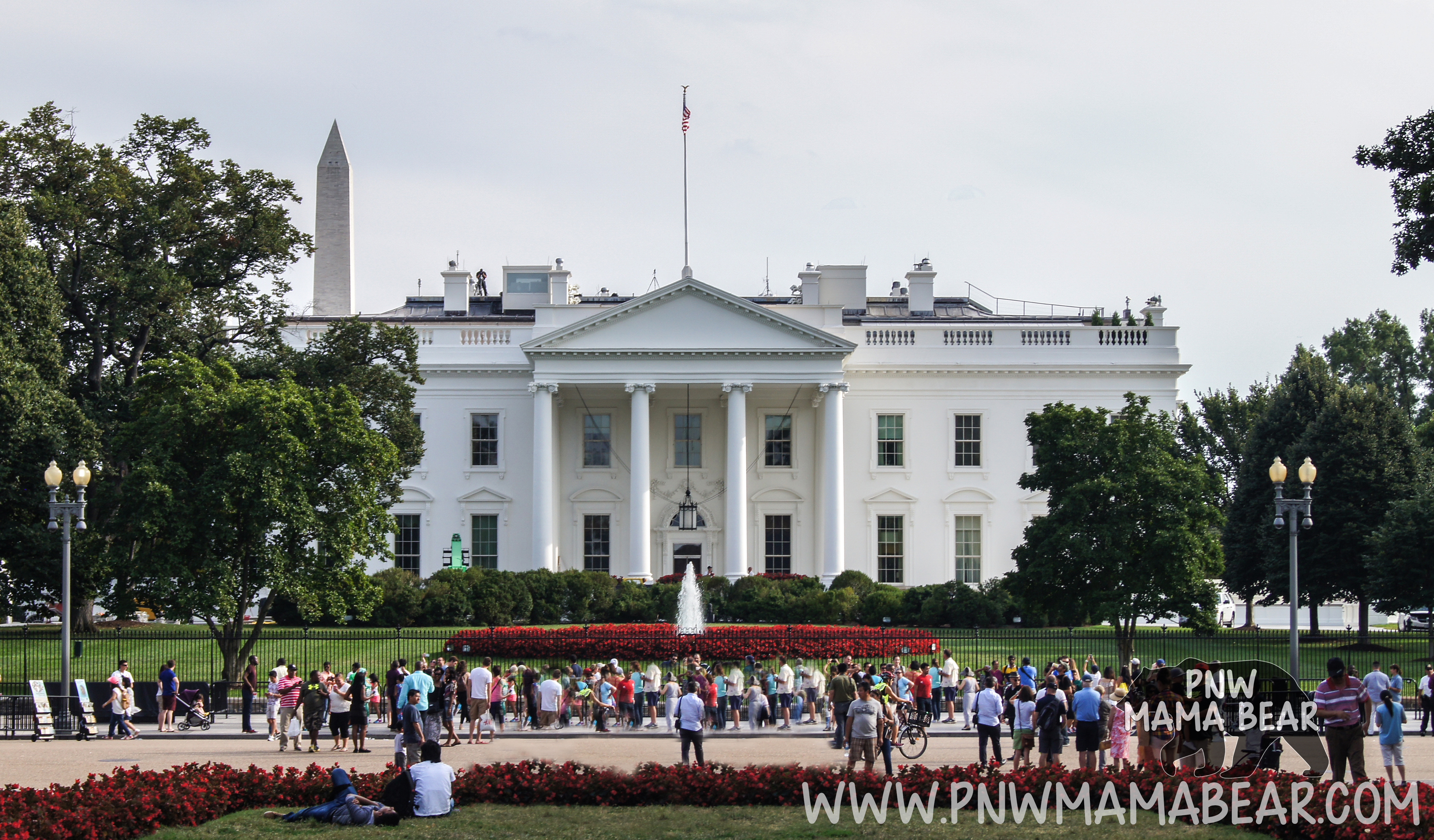 Things to See in Washington DC with Kids by PNW Mama Bear