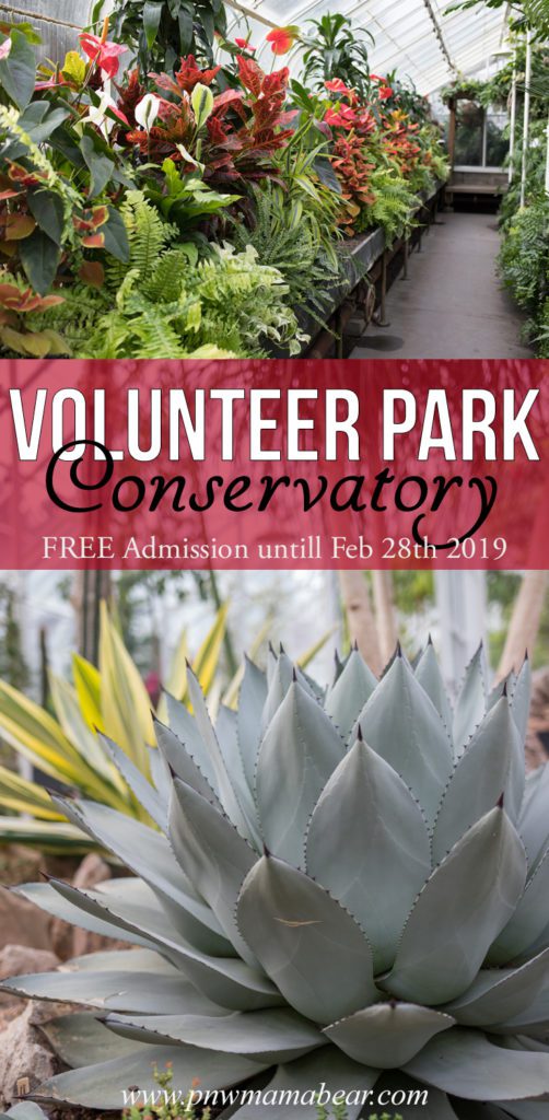 FREE Admission to the Seattle Conservatory, at Volunteer Park. Discount valid untill Feb 28th 2019. Regular addmision is $4 or under. Click here to see photos, family friendly tips, suggestions, and more for your visit! By PNWMamaBear.com /// TAGS: Washington PNW Greenhouse Free Stuff Free Things to do Seattle with Kids Free Attractions Rainy Day Activities Flowers Bontanical Garden Tropical Oasis Free Things to do in Seattle with Kids